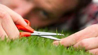 Photo of Obsesif-Kompulsif Bozukluk