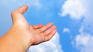 Photo of ACT NEDİR?