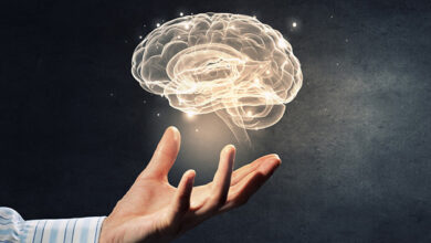 Photo of BDT NEDİR?